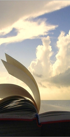 Cartea care se scrie 241×469